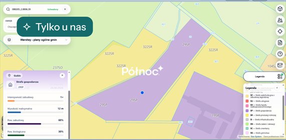 Działka inwestycyjna 33 900 m² w Chociejowie polecam! działka Chociejów