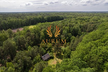 Działka z siedliskiem i lasem, 14 600 m², potencjał działka Leopoldów, Zielona