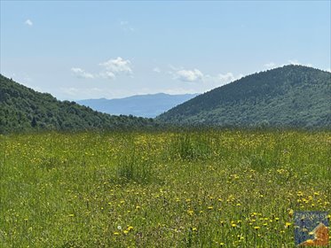 działka na sprzedaż 10000m2 działka Roztoka