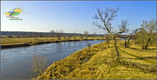 Działka rolna na sprzedaż Świątniki 33 500m2 Foto 7