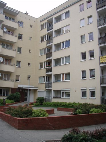 mieszkanie na wynajem 45m2 mieszkanie Poznań, Grunwald, Łazarz, Górki
