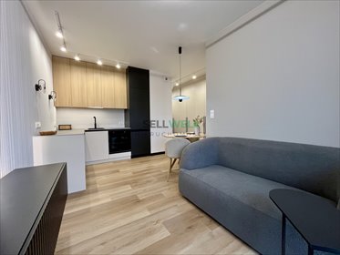 mieszkanie na sprzedaż 33m2 mieszkanie Aleksandrów Łódzki, Pabianicka