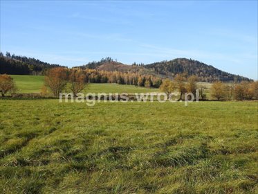 działka na sprzedaż 2000m2 działka Boguszów-Gorce, Stary Lesieniec, Św. Barbary