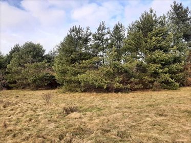 działka na sprzedaż 5784m2 działka Bargłówka
