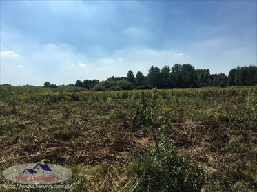 Działka rolna na sprzedaż Suchy Grunt 11 600m2 Foto 7