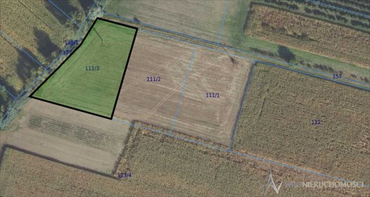 działka na sprzedaż 3000m2 działka Kryniczno