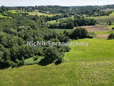 Działka budowlana na sprzedaż Chorowice, Chorowice, Grądy 1 682m2 Foto 5