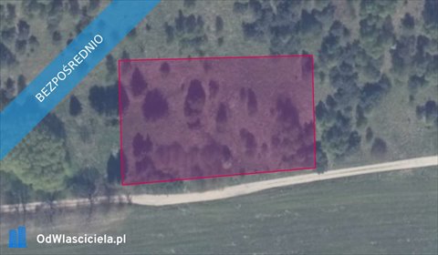 działka na sprzedaż 3007m2 działka Graniczna Wieś