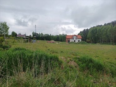 Działka pod zabudowę 5544 m2 w Leźnie, blisko Trójmiasta działka Leźno, Jagodowe Wzgórze