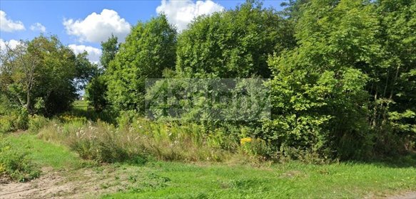 Działka 4796 m² pod zabudowę w Szadkówek - polecam! działka Szadkówek