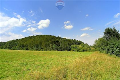 Działka budowlana na sprzedaż Czaszyn 38 200m2 Foto 7