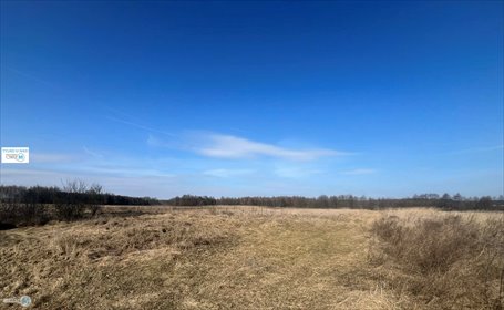 Działka 43 100 m² z lasem i dostępem do natury działka Śladków Duży, Śladków Duży, Śladków Duży
