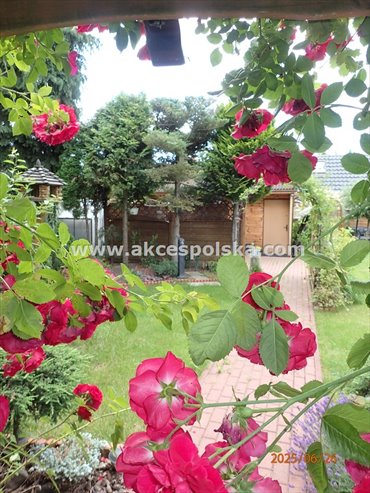 działka na sprzedaż 300m2 działka Warszawa, Żoliborz, Gwiaździsta