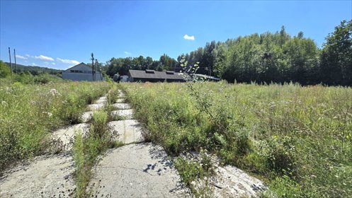 lokal użytkowy na sprzedaż 1600m2 lokal użytkowy Dylągówka