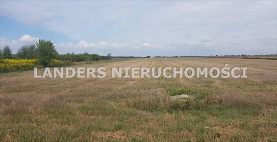 Działka inna na sprzedaż Kazimierz 19 000m2 Foto 3