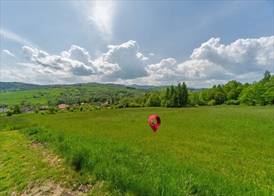 działka na sprzedaż 3164m2 działka Żywiec, Okrężna