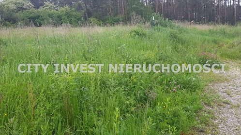 działka na sprzedaż 9000m2 działka Wiechlice