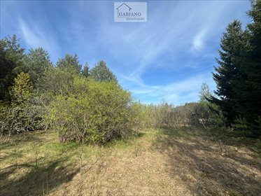 Działka 1000 m² z domkiem, las, media, Góra Kalwaria działka Ługówka