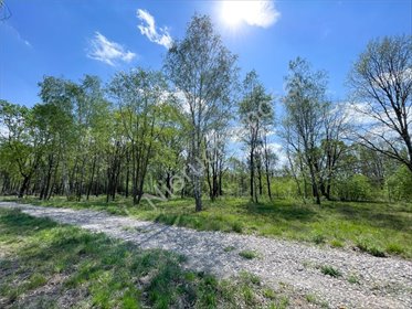 Działka 1720 m2 w Milanówku, cicha i zielona okolica działka Milanówek