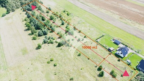 działka na sprzedaż 10000m2 działka Krępnica