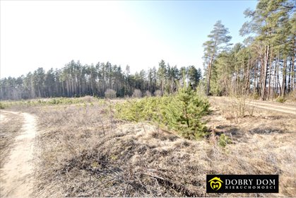 działka na sprzedaż 23258m2 działka Tarnopol