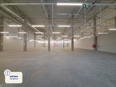 lokal użytkowy na wynajem 1130m2 lokal użytkowy Radomsko, Ignacego Krasickiego