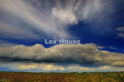 działka na sprzedaż 20200m2 działka Kurów