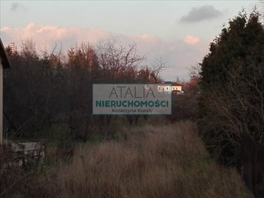 Polecam działkę 3001 m² w Brwinowie z możliwością podziału działka Brwinów