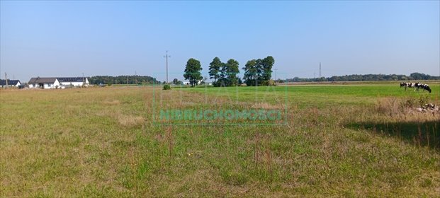działka na sprzedaż 1500m2 działka Grodzisk Mazowiecki