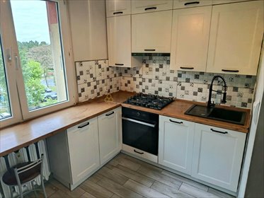 Przestronne 3-pokojowe mieszkanie po remoncie, balkon, blisko infrastruktury mieszkanie Głogów