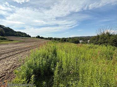 działka na sprzedaż 949m2 działka Pękowice