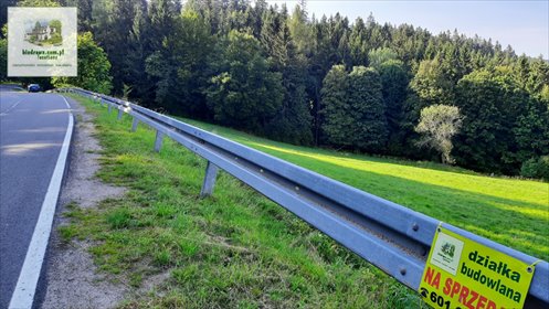 Atrakcyjna działka inwestycyjna lub budowlana w Zieleniec! Polecam! działka Duszniki-Zdrój, Zieleniec, Zieleniec