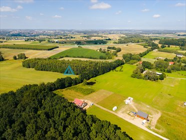 działka na sprzedaż 1068m2 działka Skrzeszewo Żukowskie, Brylantowa