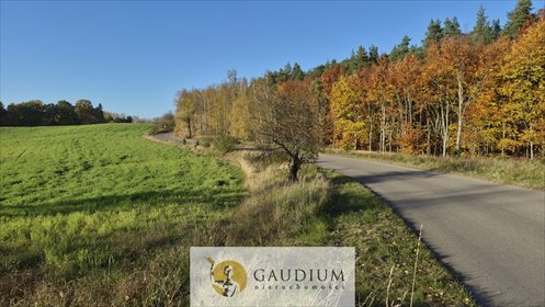 działka na sprzedaż 4000m2 działka Goszyn