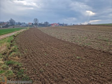 Działka rolno-zagrodowa 11 070 m² w Skrzeszowicach. działka Skrzeszowice