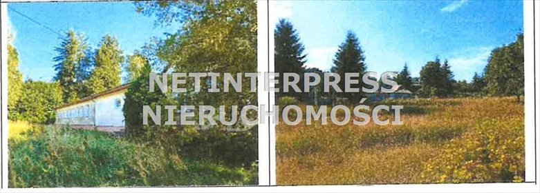 lokal użytkowy na sprzedaż 387m2 lokal użytkowy Piotrowiec