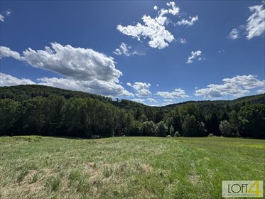 działka na sprzedaż 6600m2 działka Paleśnica