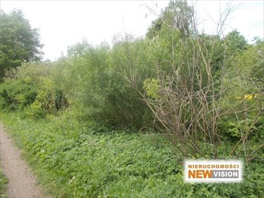 działka na sprzedaż 617m2 działka Dąbrowa Górnicza, Ząbkowice, Związku Orła Białego