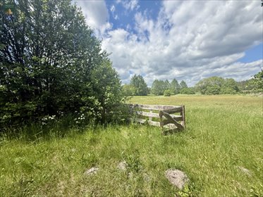 Działka 3800 m² z domkiem, prąd, w otoczeniu natury działka Odnoga-Kuźmy