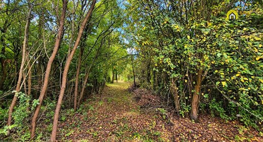 Polecam działkę 7700 m² w Brudzowie z dostępem do mediów działka Brudzów