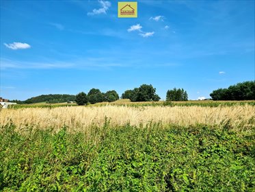 działka na sprzedaż 880m2 działka Podbucze