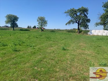 Działka 14 423 m² z warunkami zabudowy w Przyłęku działka Przyłęk