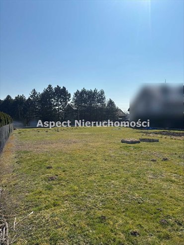 Działka budowlana na sprzedaż Pielgrzymowice 973m2 Foto 2