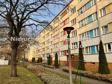 mieszkanie na sprzedaż 45m2 mieszkanie Oleśnica