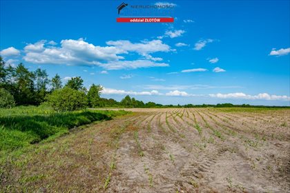 Działka rolna na sprzedaż Witrogoszcz-Kolonia 183 634m2 Foto 1