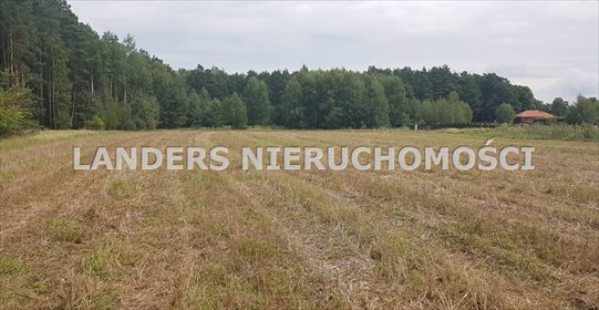 Działka inna na sprzedaż Charbice Dolne 8 000m2 Foto 3