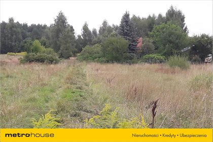Dom na sprzedaż Żeliszew Duży, Kotuń 50m2 Foto 6