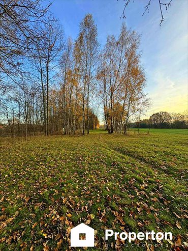 działka na sprzedaż 24700m2 działka Łomnica