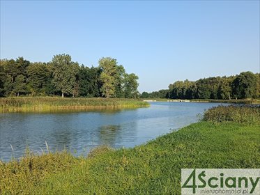 działka na sprzedaż 11600m2 działka Osuchów
