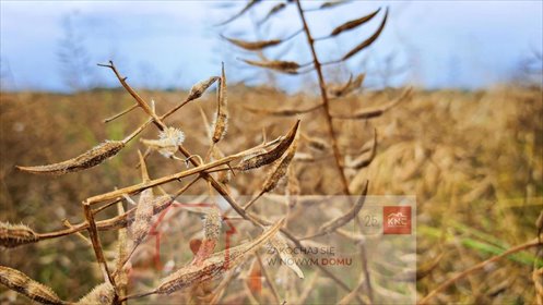 działka na sprzedaż 6700m2 działka Nałęczów